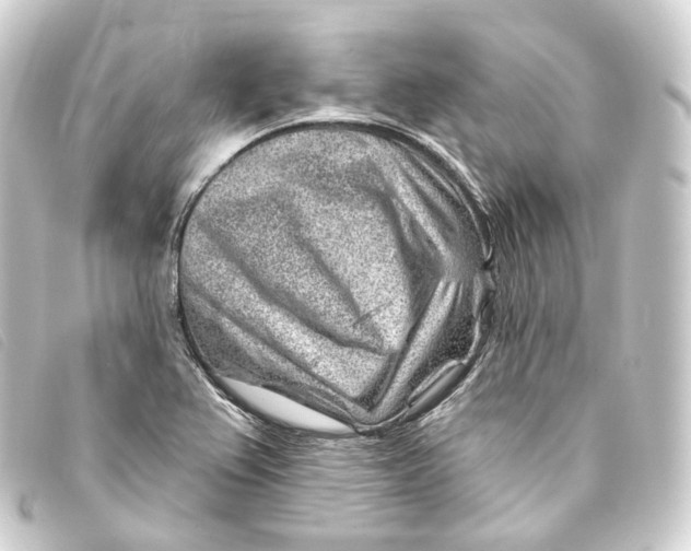 X0000093211367200710241148