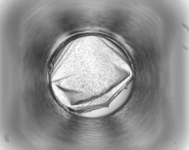 X0000093211368200710241148