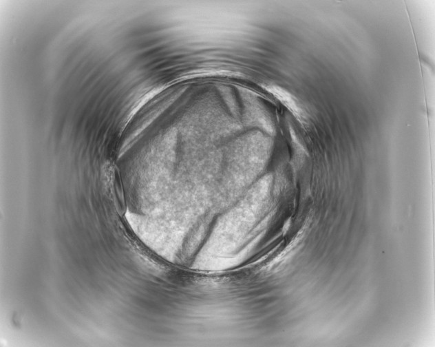 X0000093211369200710241148