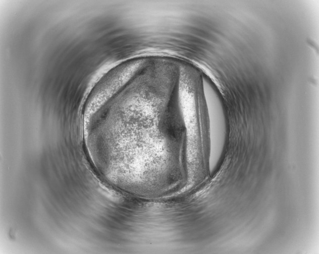 X0000093211371200710241148