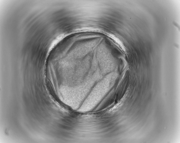 X0000093211373200710241148