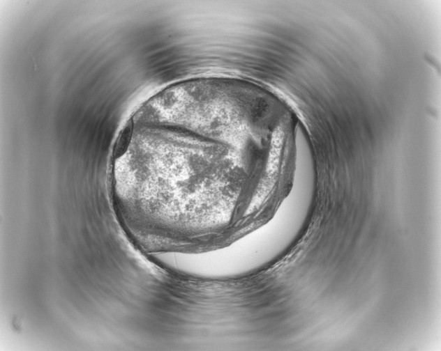 X0000093211379200710241148