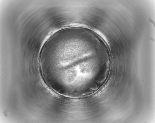 X0000093211381200710241148