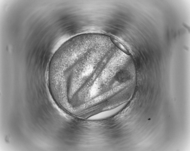 X0000093211383200710241148