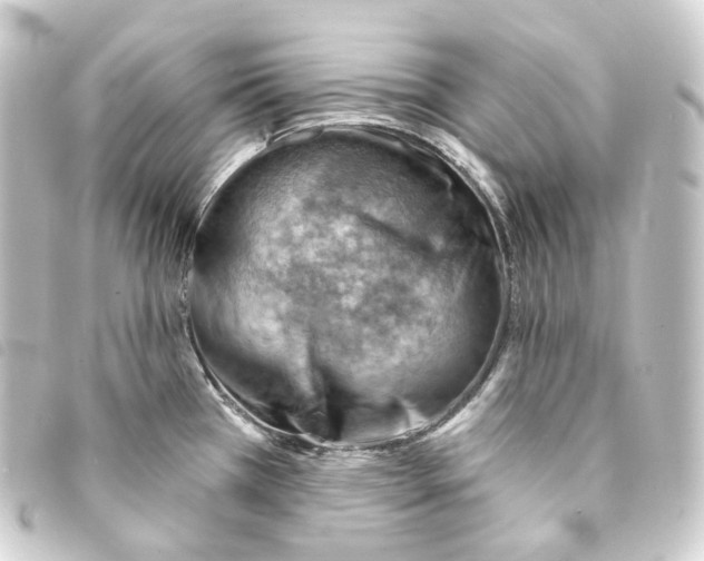 X0000093211385200710241148