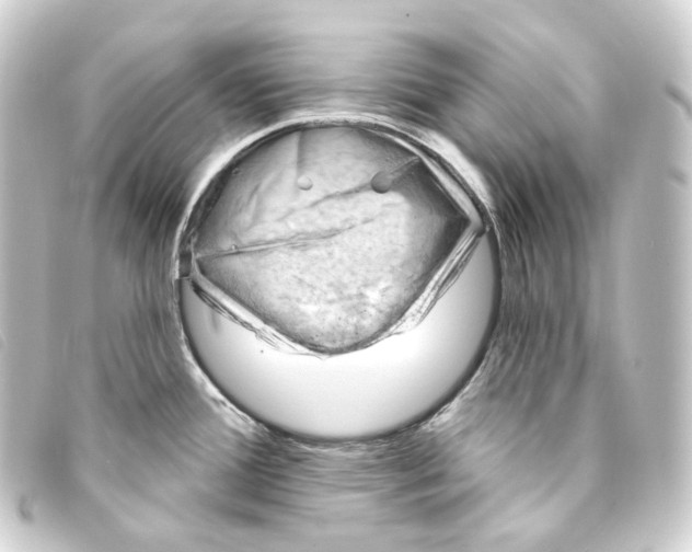 X0000093211388200710241148