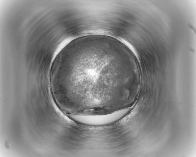 X0000093211389200710241148