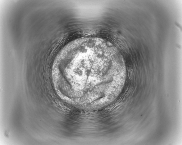 X0000093211393200710241147