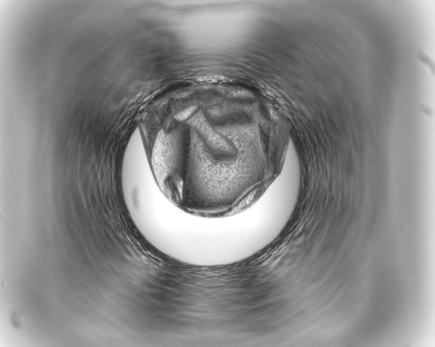 X0000093211394200710241147