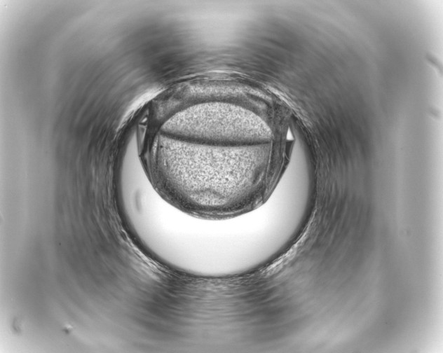 X0000093211402200710241147