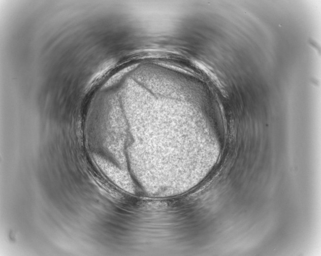 X0000093211403200710241147