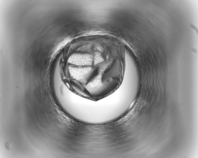 X0000093211406200710241147