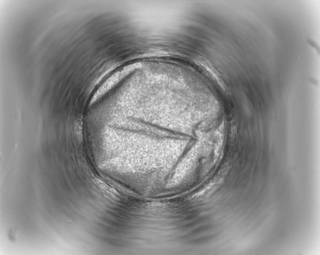 X0000093211409200710241147