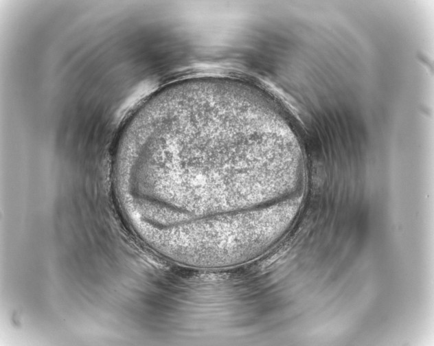 X0000093211411200710241148