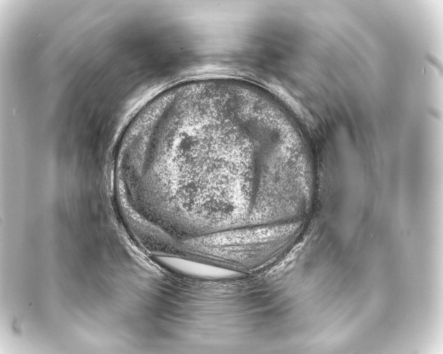 X0000093211413200710241148