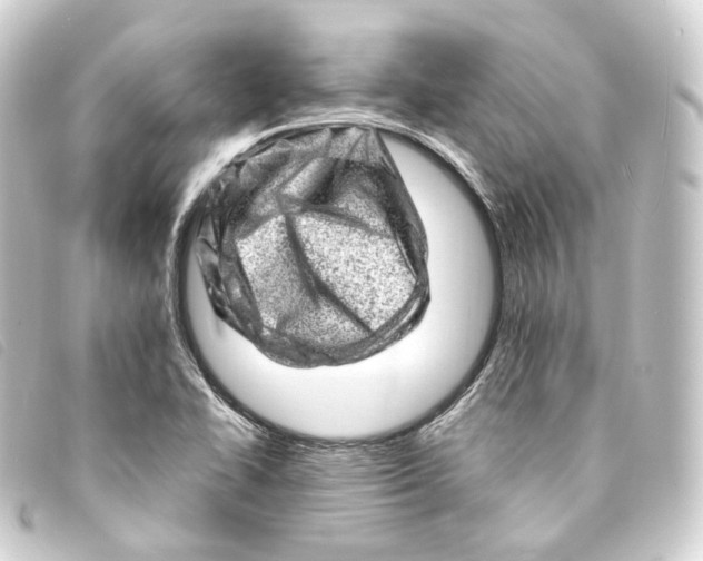 X0000093211414200710241148