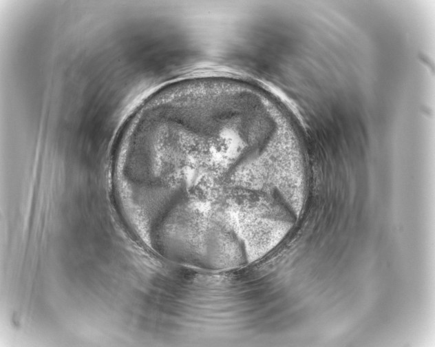 X0000093211415200710241148