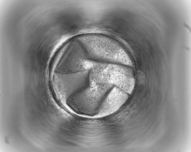 X0000093211416200710241148