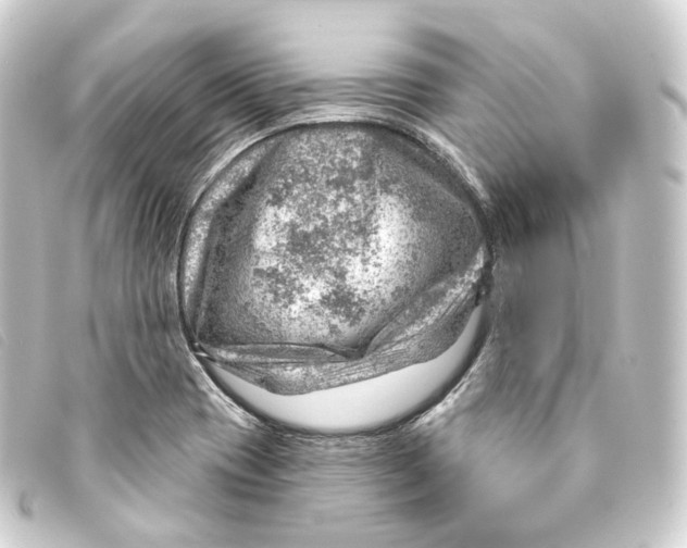 X0000093211417200710241148