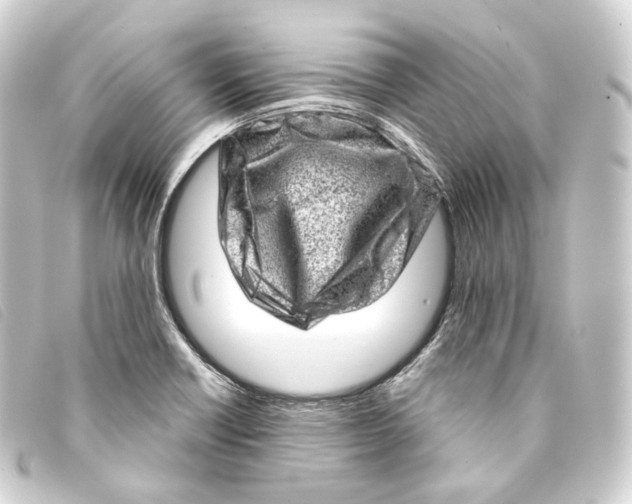 X0000093211418200710241148