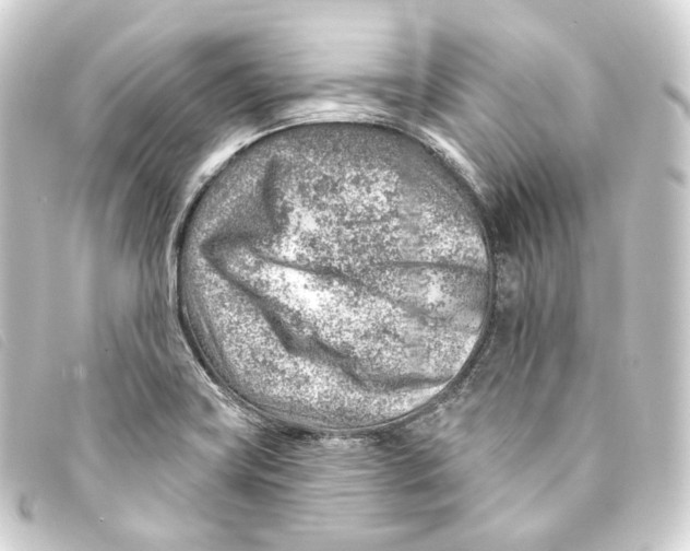 X0000093211419200710241148