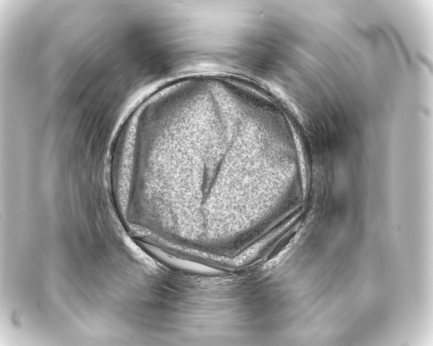 X0000093211421200710241148