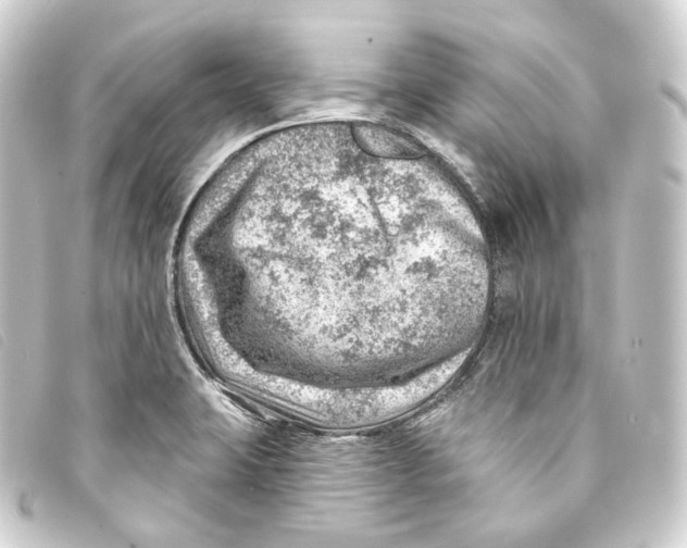 X0000093211423200710241148