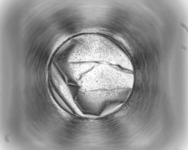 X0000093211424200710241148