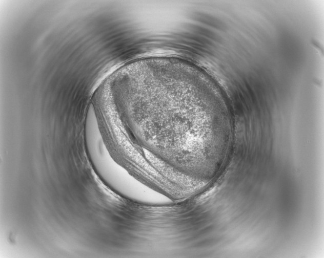 X0000093211425200710241148