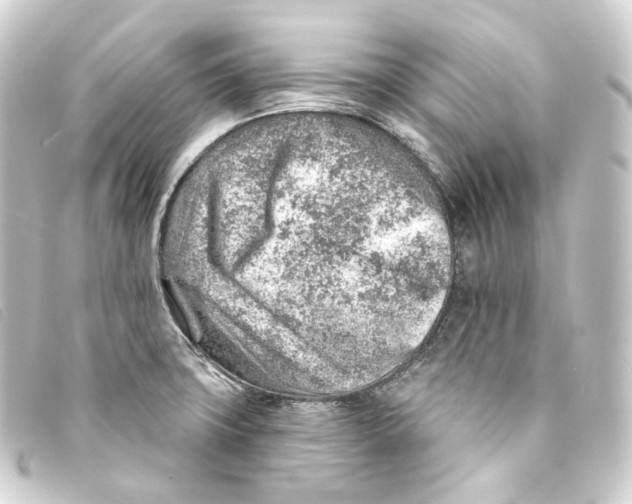 X0000093211427200710241148