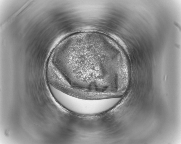 X0000093211429200710241148