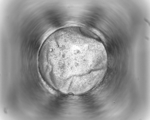 X0000093211431200710241148