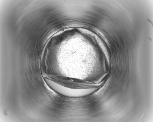 X0000093211433200710241148