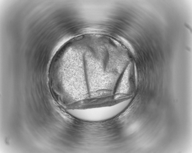 X0000093211435200710241148