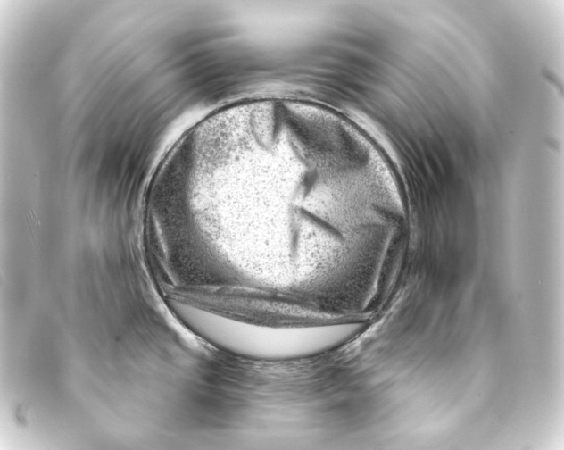 X0000093211437200710241148