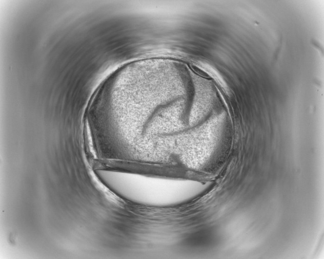 X0000093211439200710241148