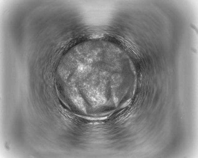 X0000093211441200710241147