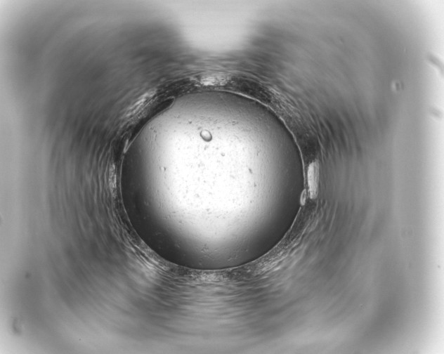 X0000093211443200710241147