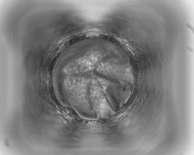 X0000093211445200710241147