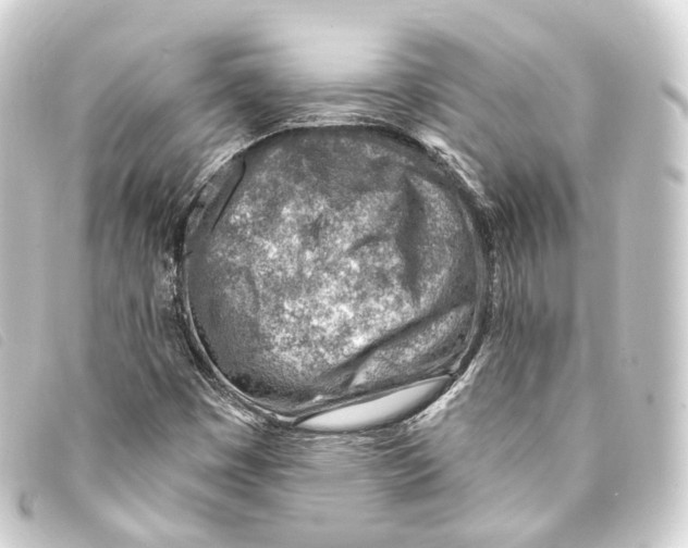 X0000093211449200710241147