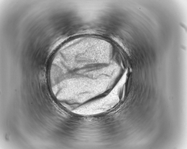 X0000093211452200710241147