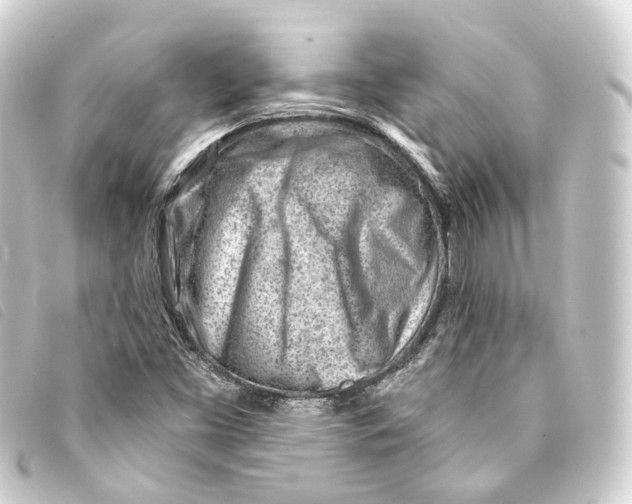 X0000093211453200710241147