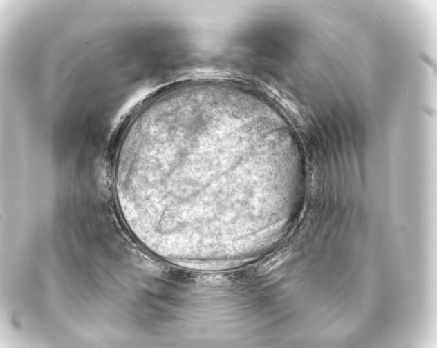 X0000093211454200710241147