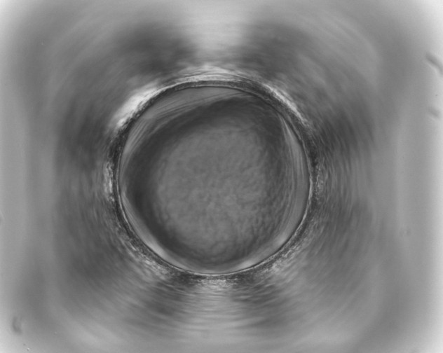 X0000093211455200710241147