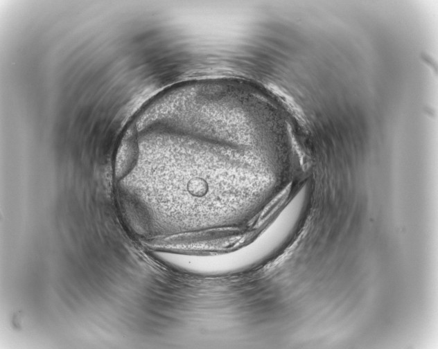 X0000093211457200710241147