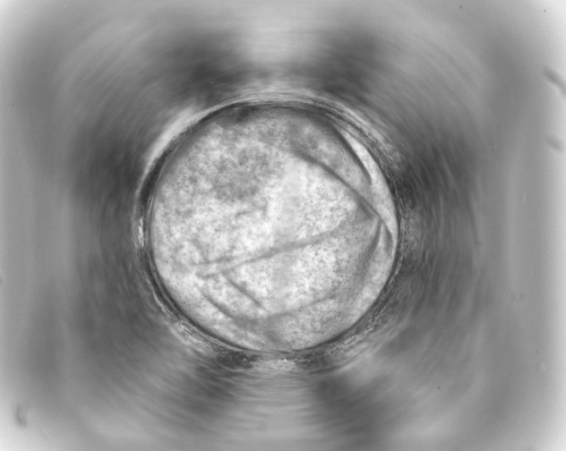 X0000093211462200710241147