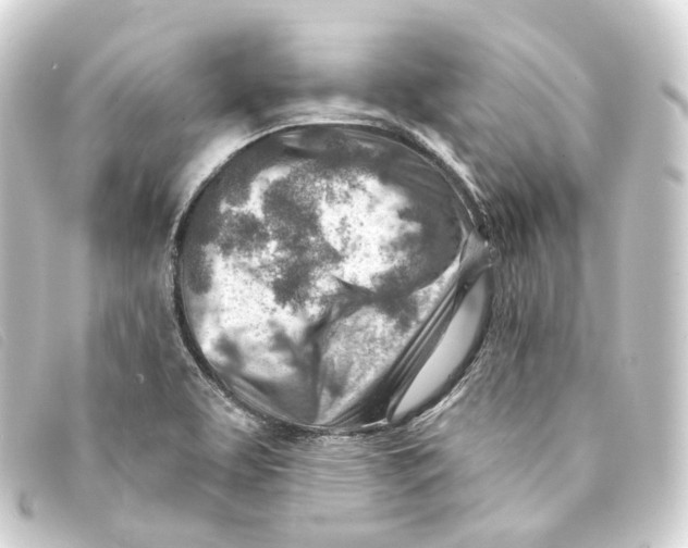 X0000093211463200710241147