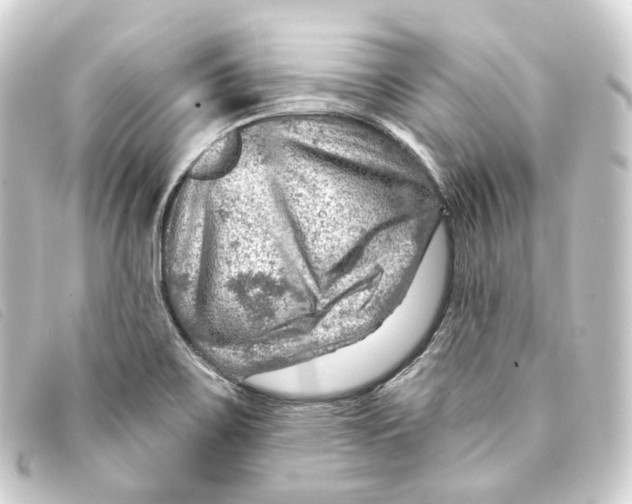 X0000093211467200710241147