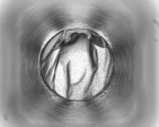 X0000093211469200710241147