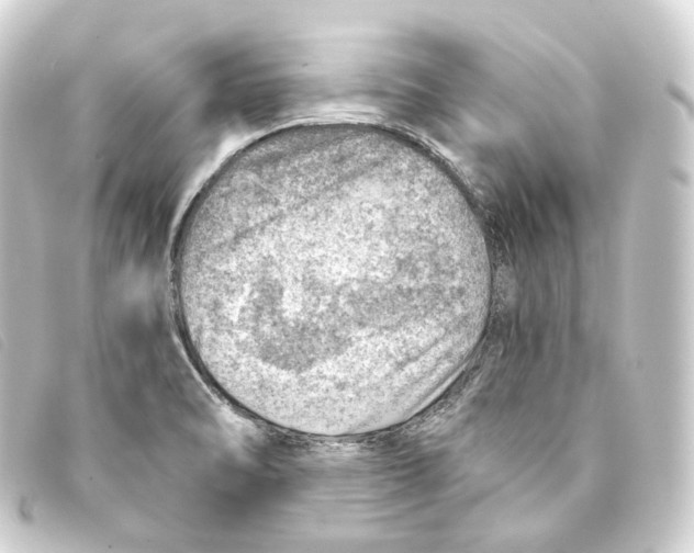 X0000093211470200710241147